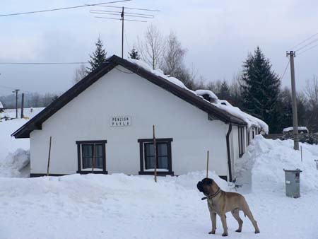 penzion Pavla s Artušem